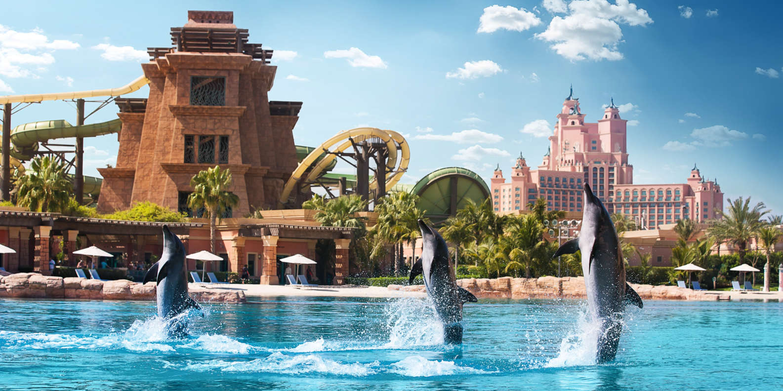 Dubai: Shallow Water Dolphin Encounter at Atlantis